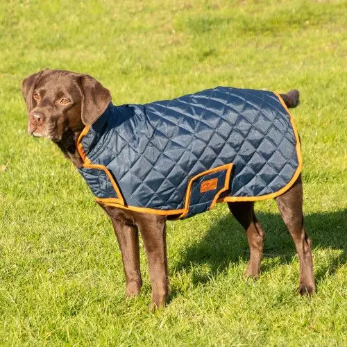 Benji & Flo Quilted Dog Coat