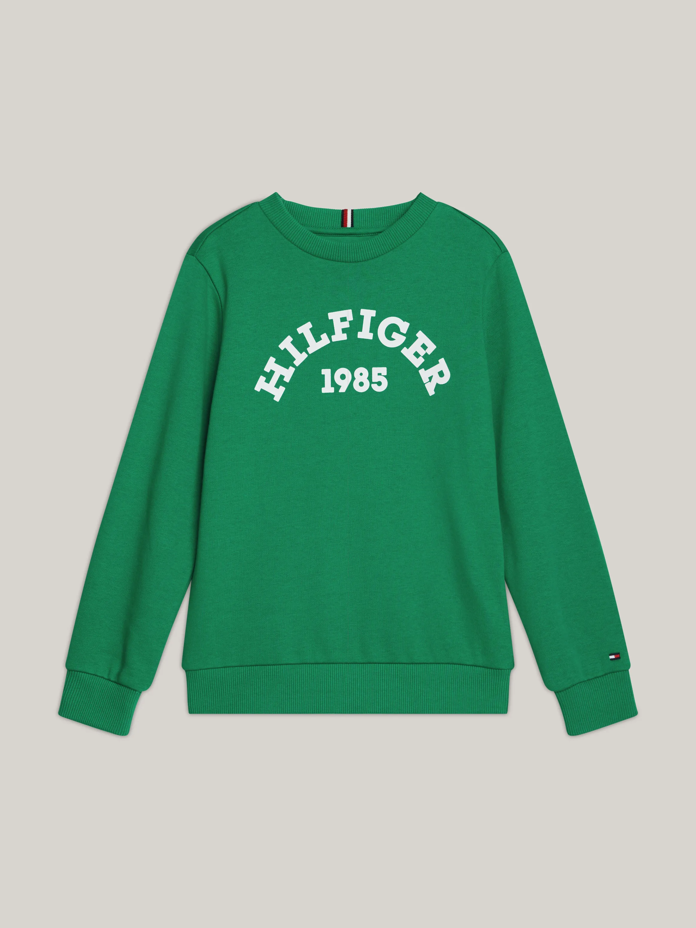 Boys 8-16 Hilfiger Monotype 1985 Collection Sweatshirt | Sweatshirts & Hoodies | Tommy Kids